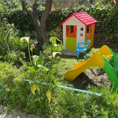 B&B Case Vacanza Orchidea Marina Di Macchia Vicino A Mattinata Gargano Monte SantʼAngelo Zewnętrze zdjęcie